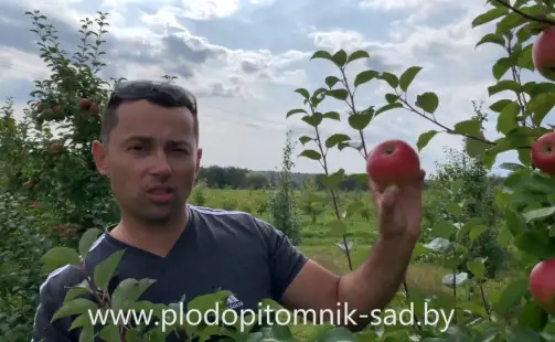 Превью видео