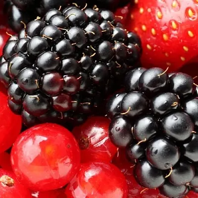 Ежевика в Сургуте