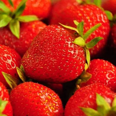 Клубника в Сургуте