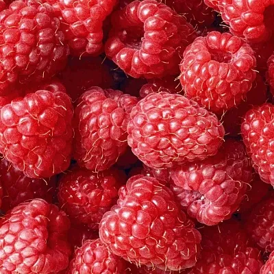 Летняя  Летняя в Сургуте