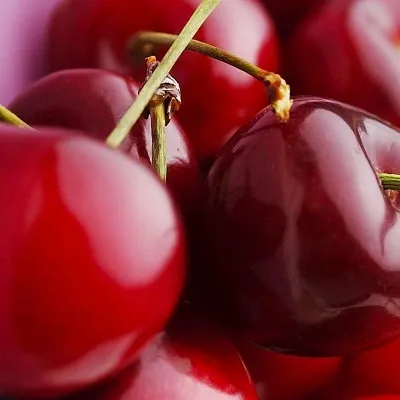 Вишня в Сургуте